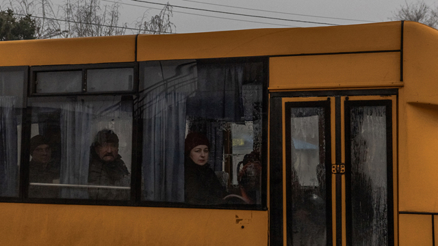 Un fungo per dimenticare la guerra